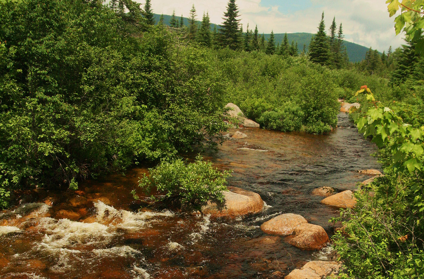 Sandy River Stream