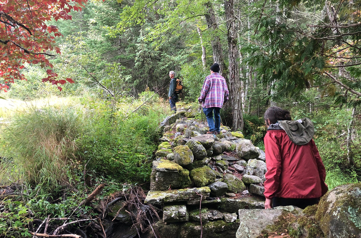 people hiking on trail