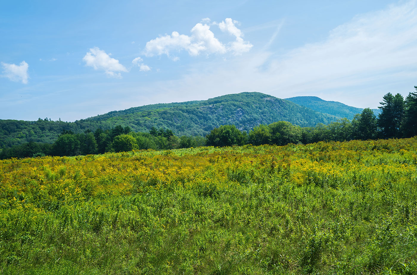 Fernald's Neck Preserve