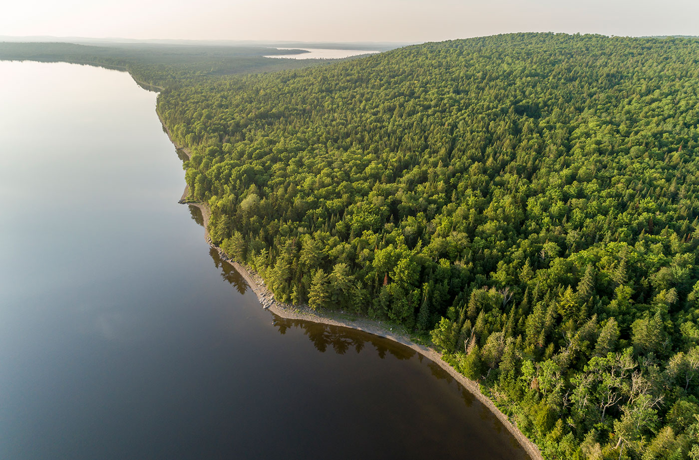 Maine North Woods Protection