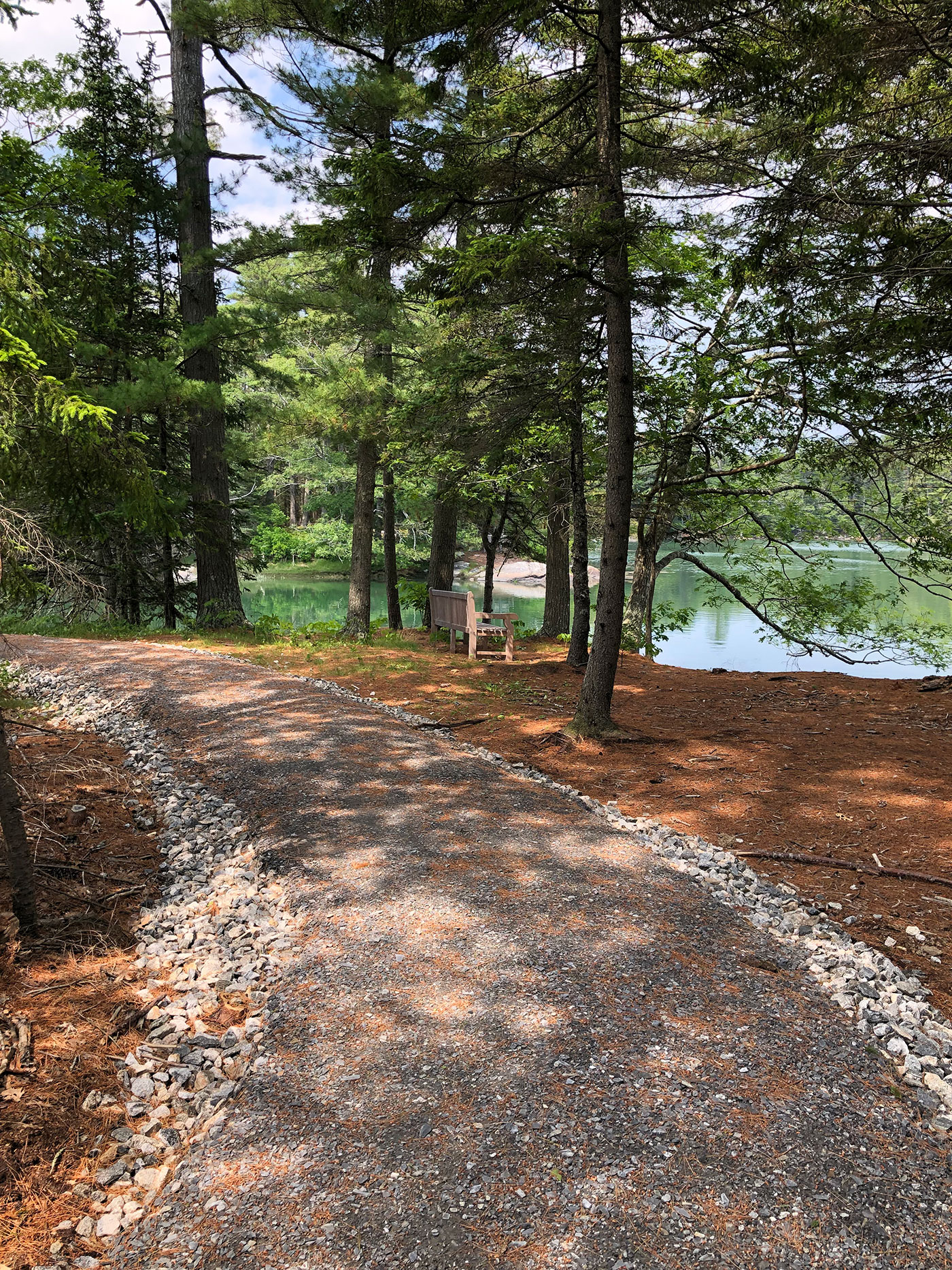 Trail through woods in Boothbay