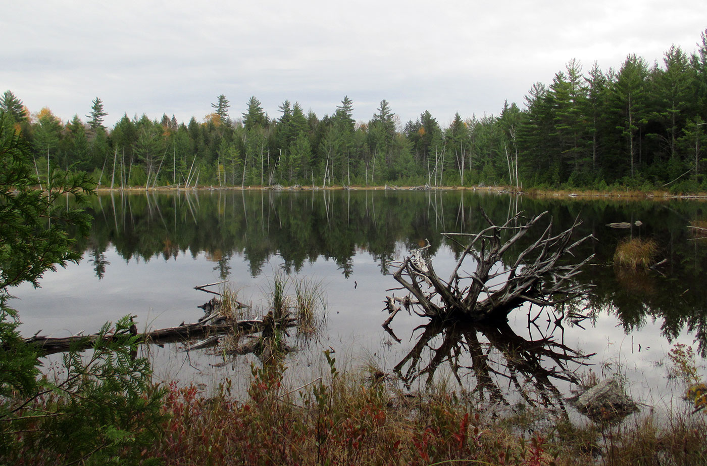 Otter Pond