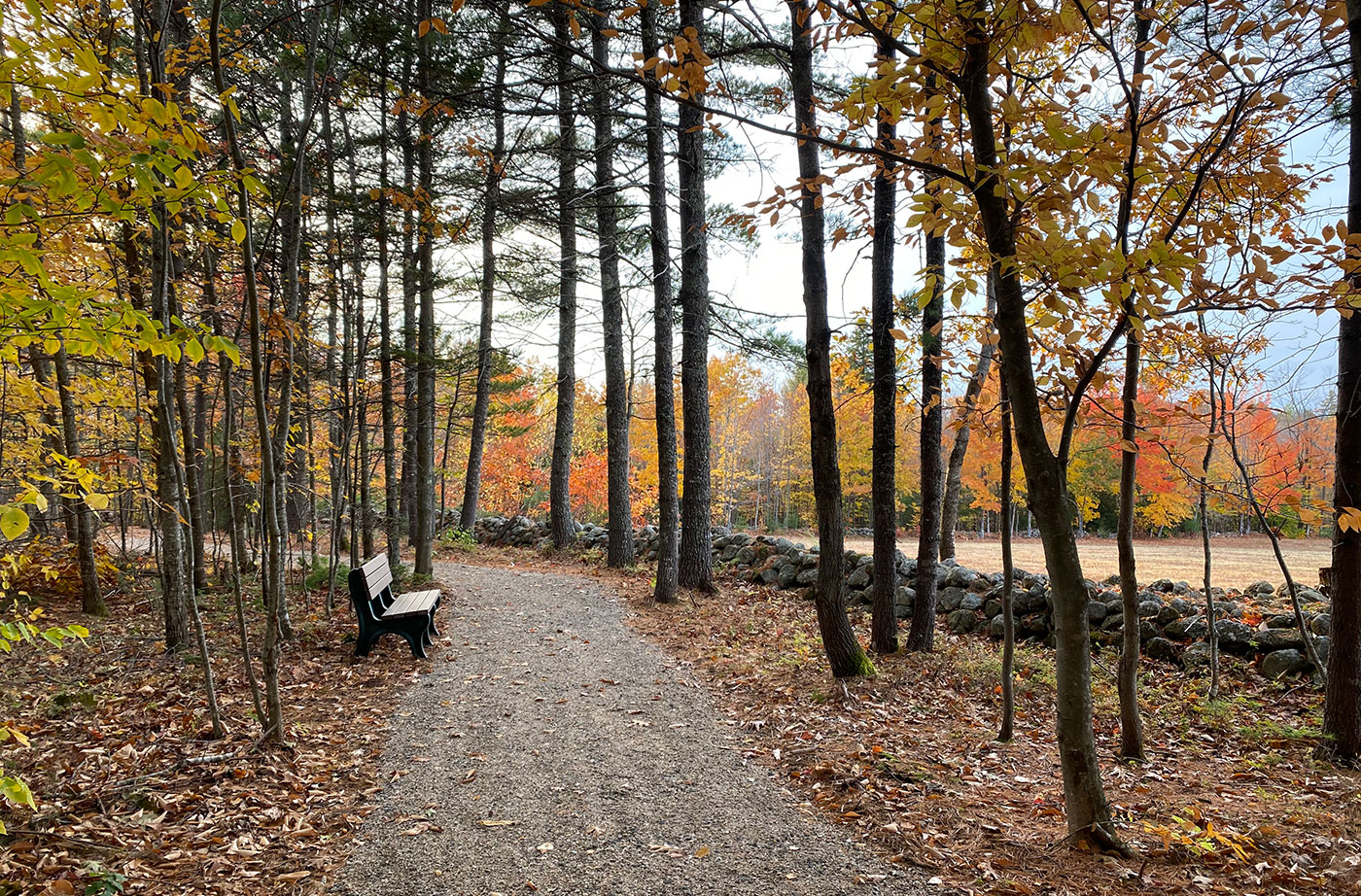 Trail through Peabody-Fitch Woods