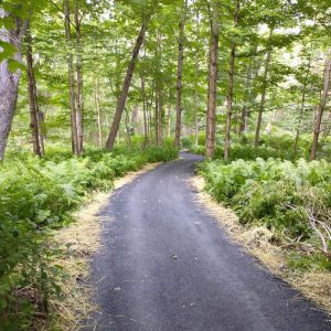 Prescott Field accessible trail