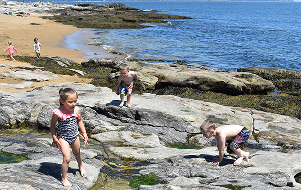 children playing on rocks at beach
