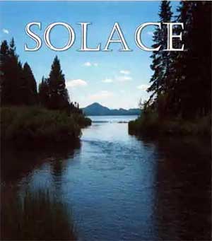 Solace book cover