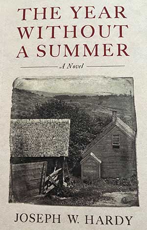 The Year without a Summer book cover