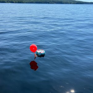balloons floating in lake