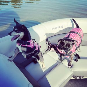 Maggie and Daisy on boat in lifejackets