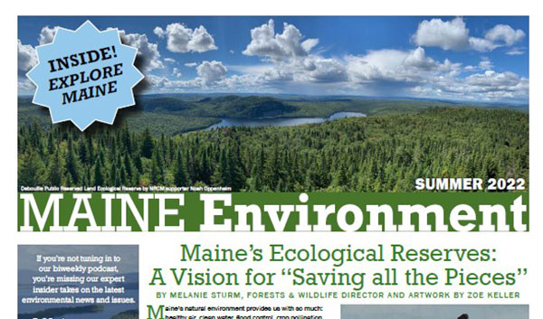 summer-2022-newsletter-banner summer 2022 newsletter banner