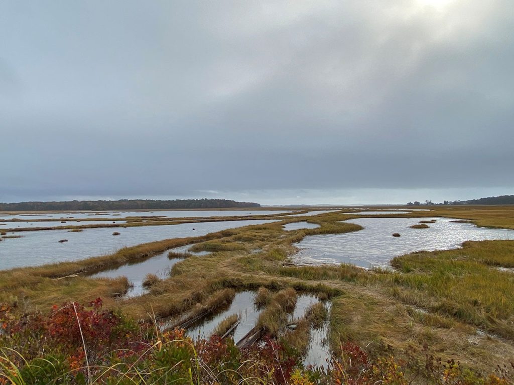 View of Scarborough Marsh in fall from Eastern Trail