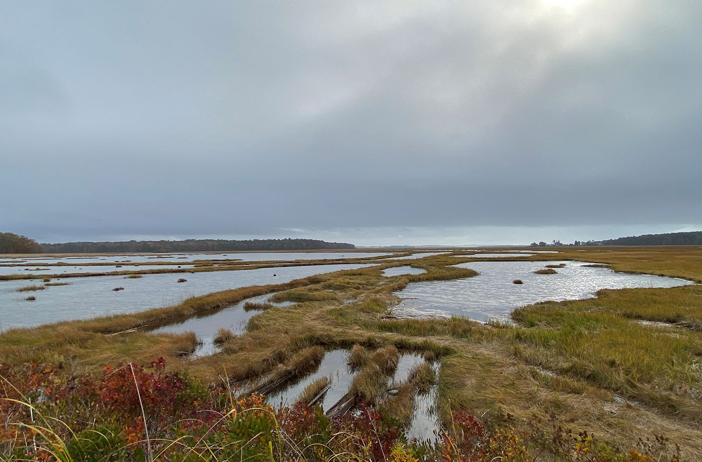 View of Scarborough Marsh in fall from Eastern Trail