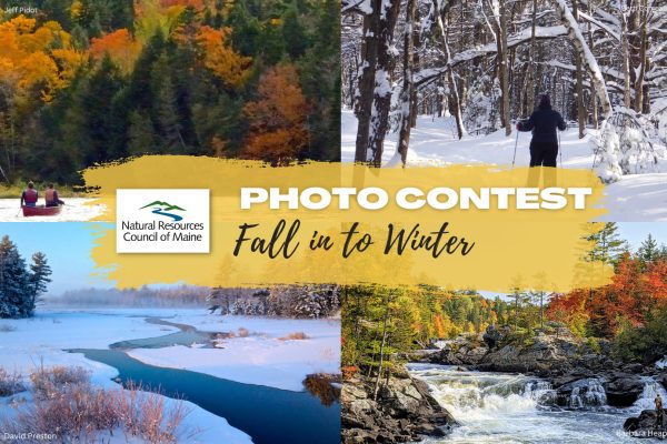 Fall and winter photos graphic