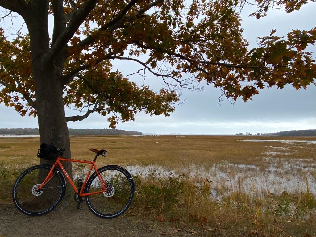 Bicycle leaning against tree in Scarborough Marsh