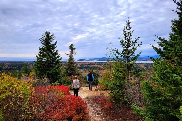 Hikers on Pigeon Hill by Stephanie Griffin