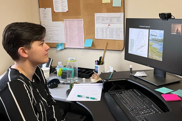 Becca watching webinar on her computer