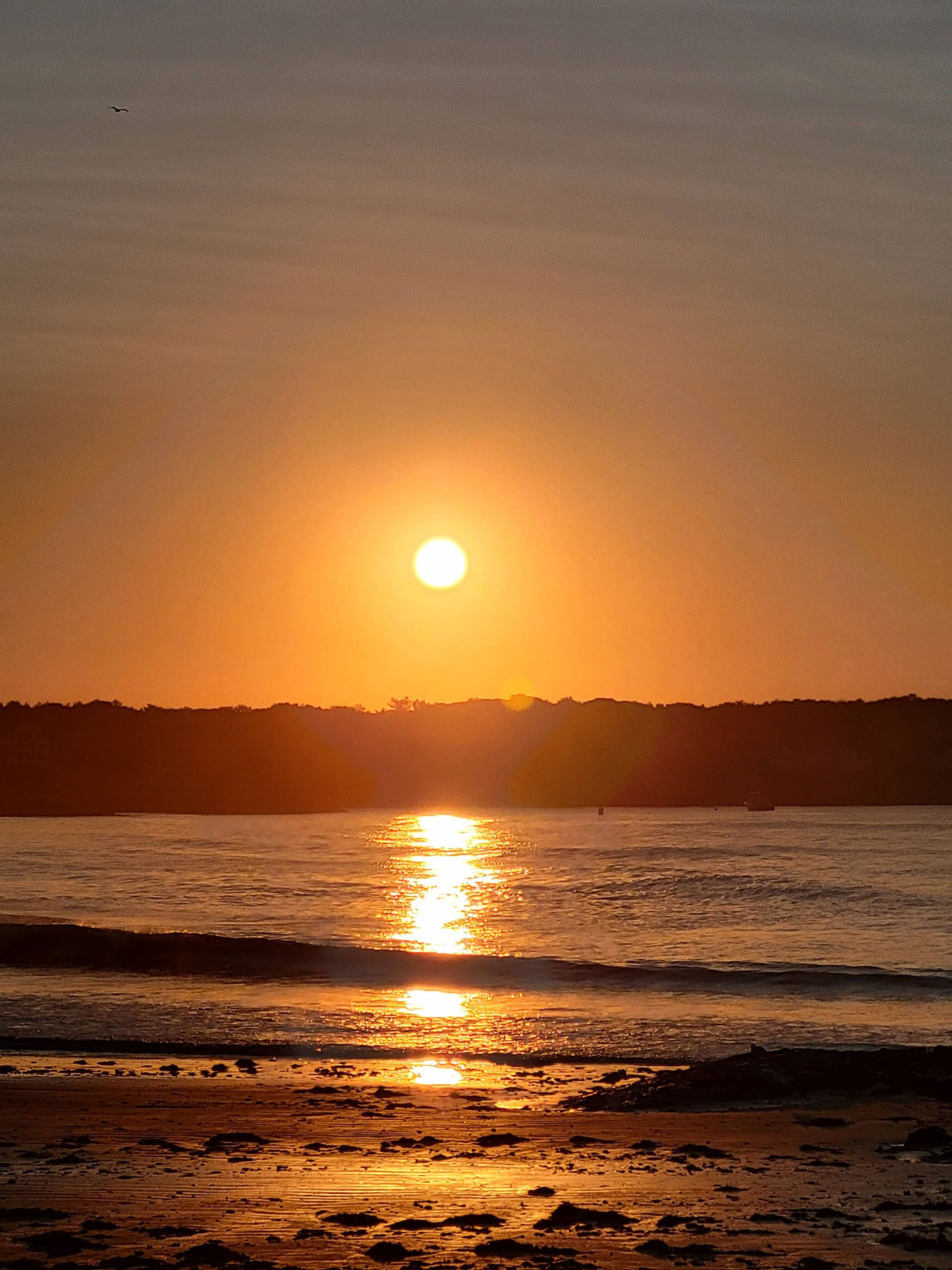 Gooch's Beach sunrise