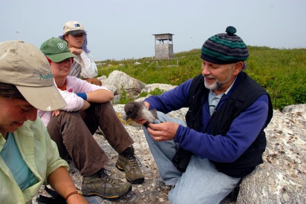 Steve Kress and interns on Eastern Egg Rock