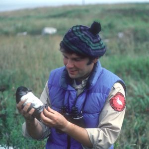 Steve and puffin fledgling