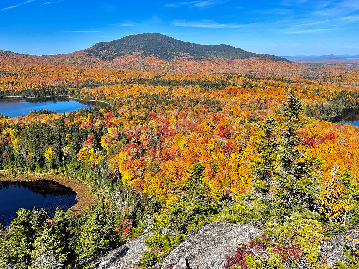 mountain and fall foliage