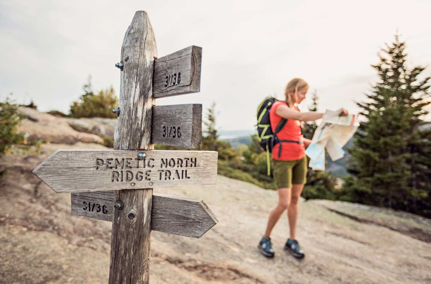 Person looking at trail map