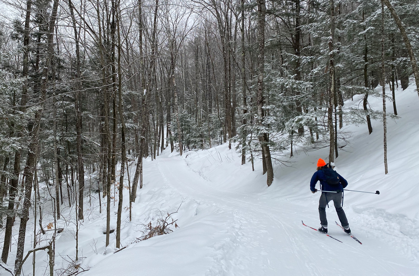 two skiers skiing on trail through woods