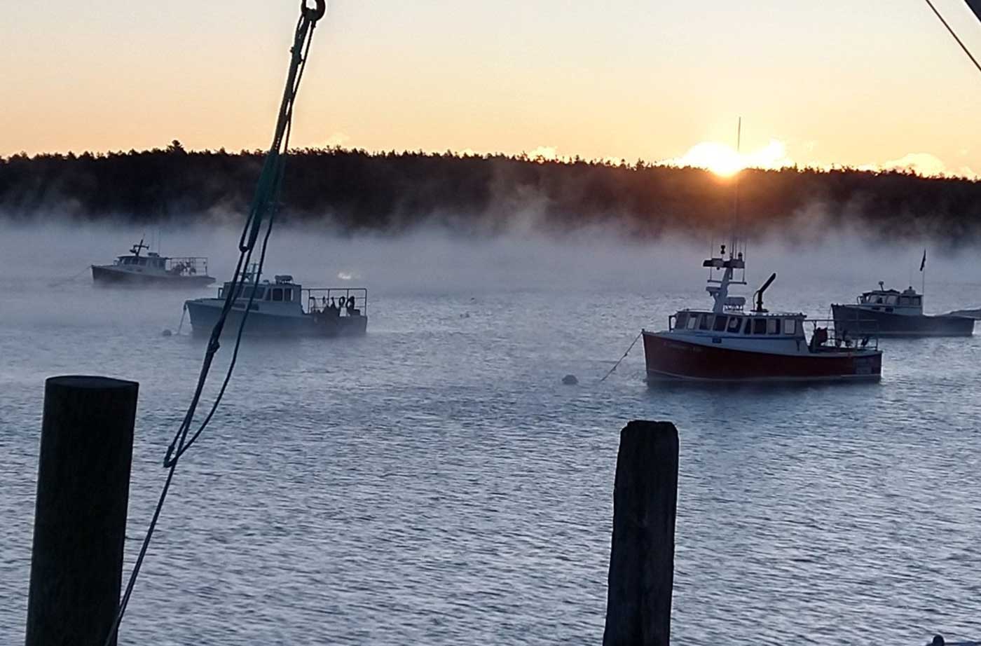 boats in harbor in Harpswell