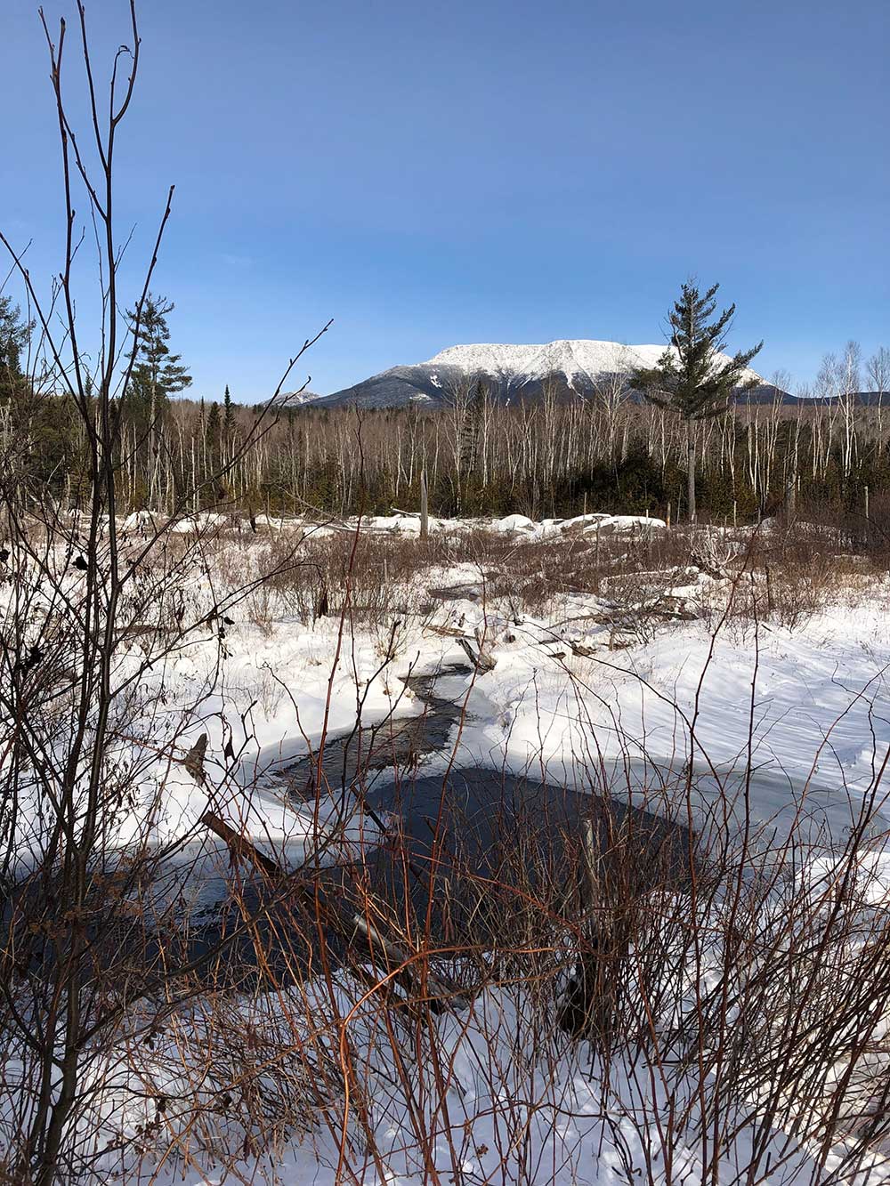 View of Katahdin over snow