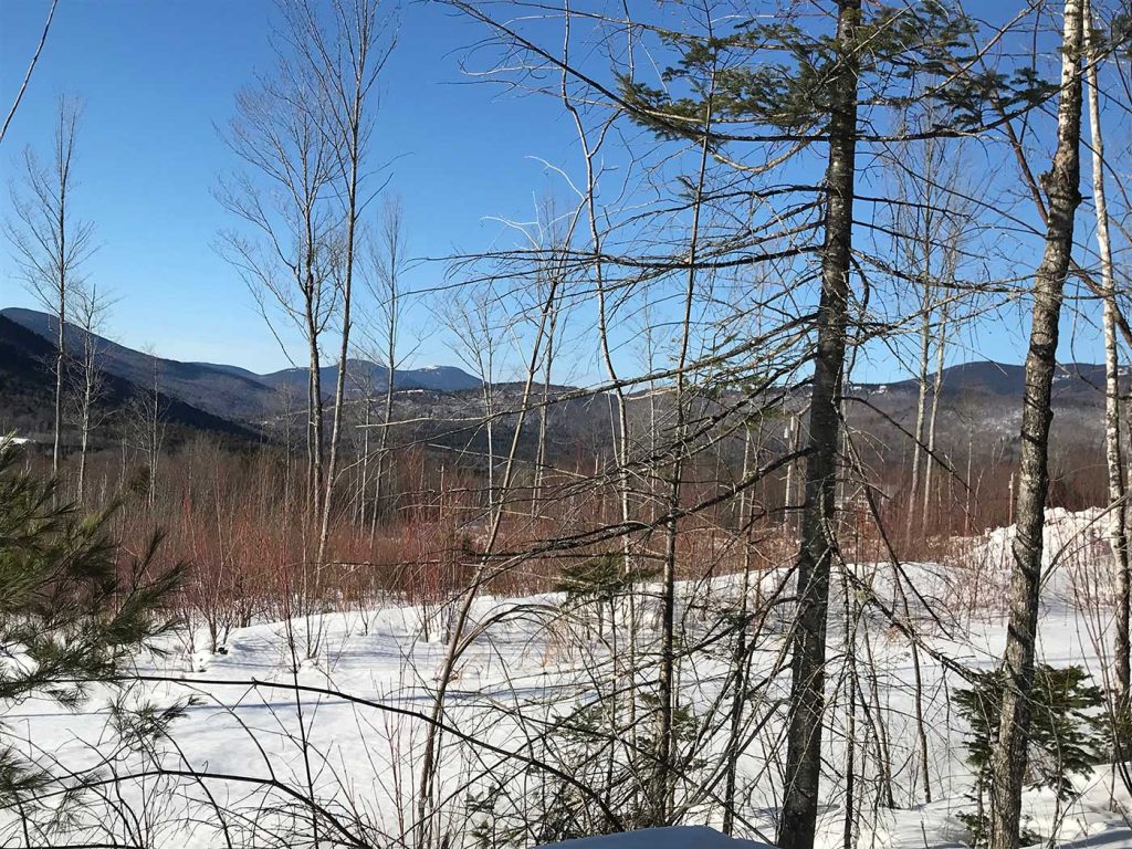 Baldpate from Carter's Ski Center