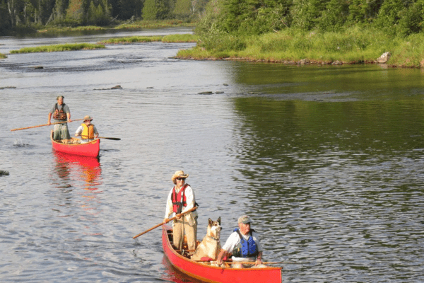 two groups of people canoeing on river