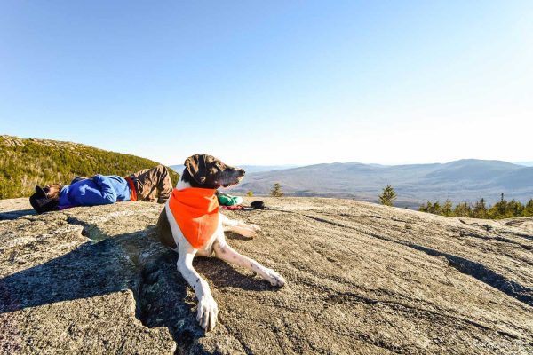 dog and hiker relaxing on top of Tumbledown Mountain