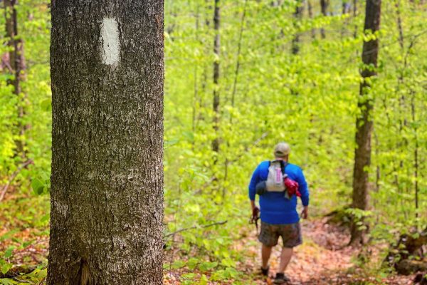 person hiking on AT
