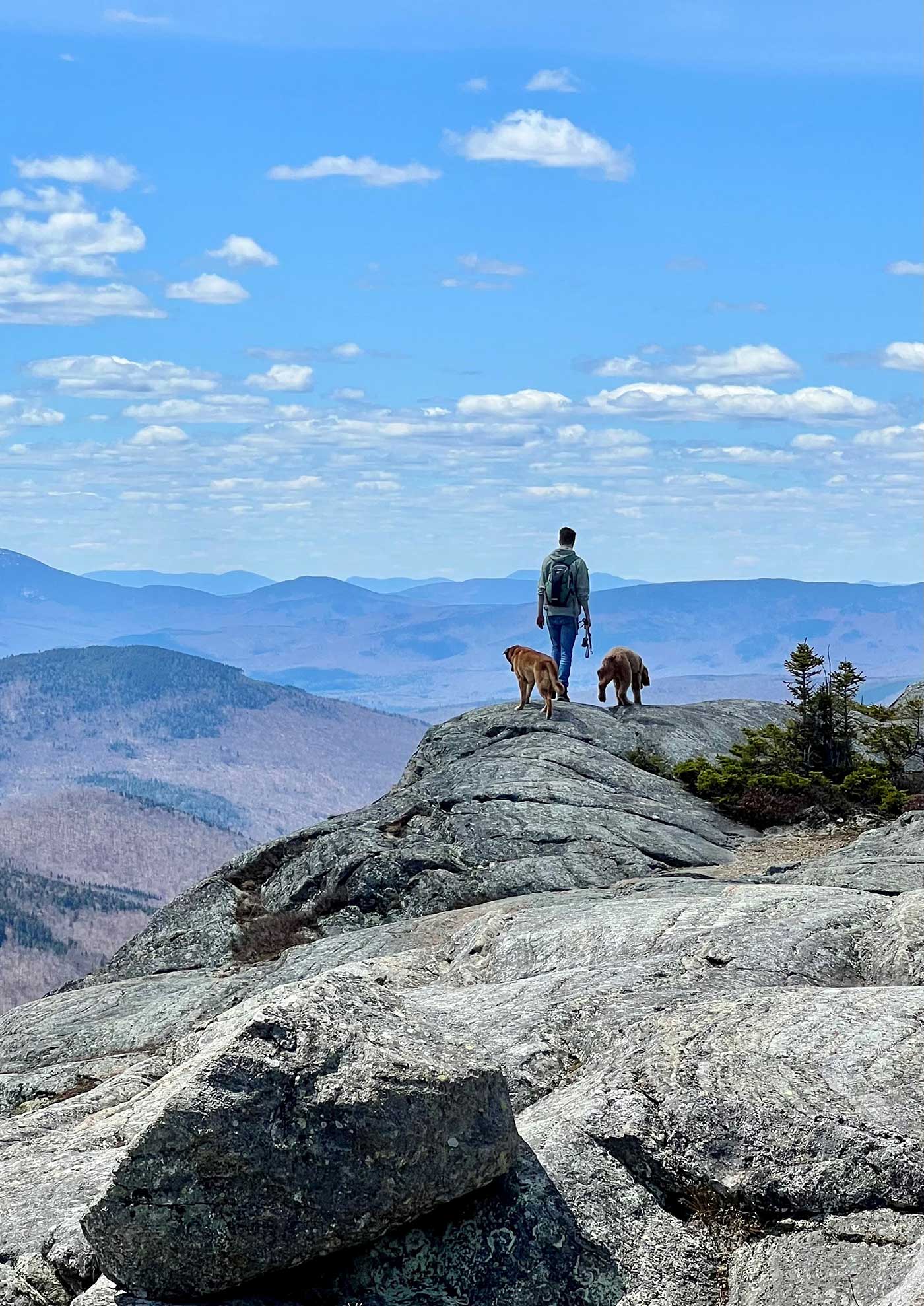 Young man and two dogs on top of mountain looking out at other mountains