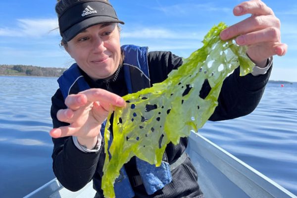 Woman holding seaweed in a rowboat