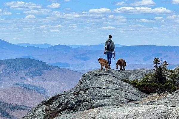 Young man and two dogs on top of mountain looking out at other mountains