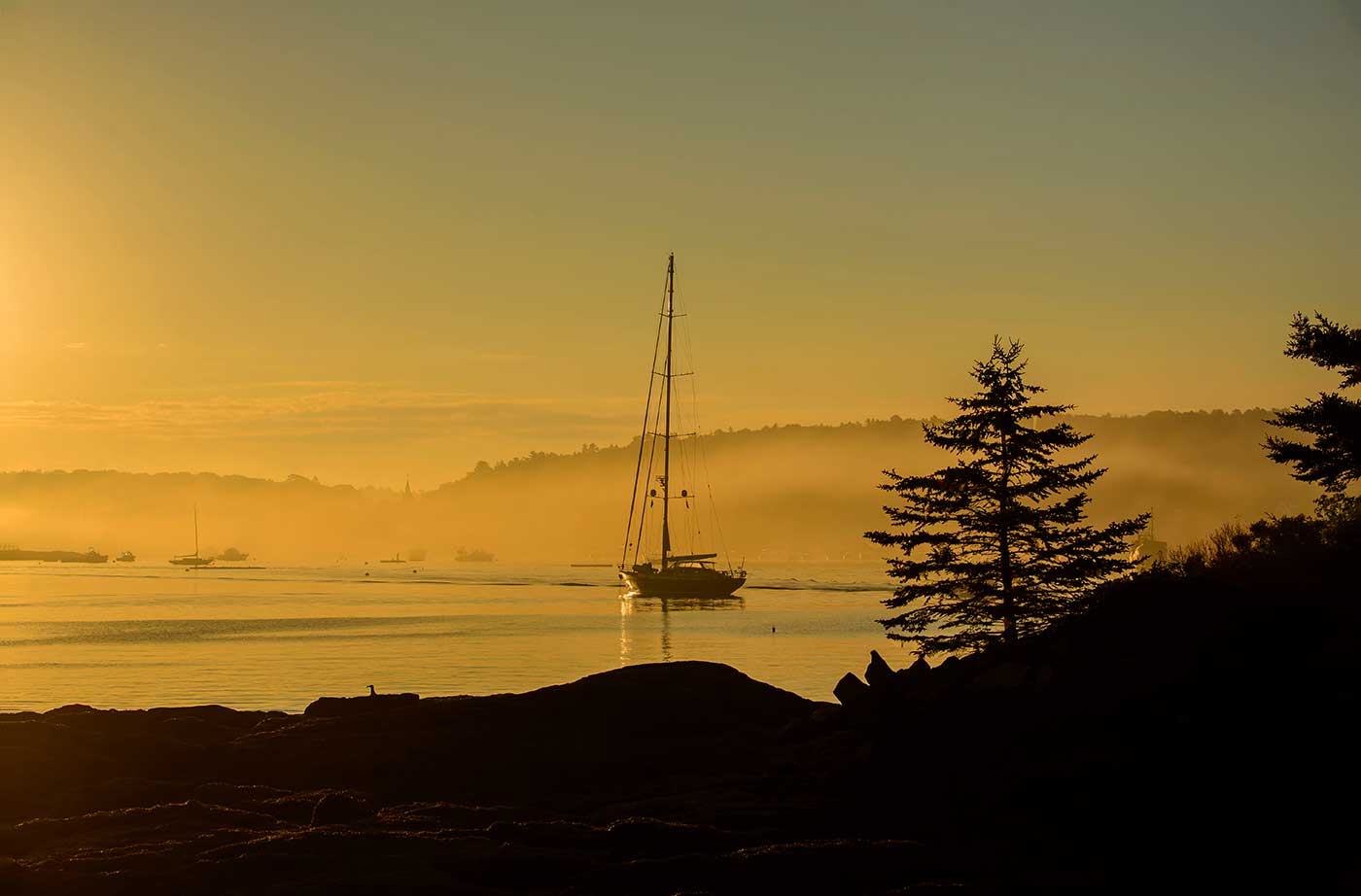 sailboat in harbor at sunset