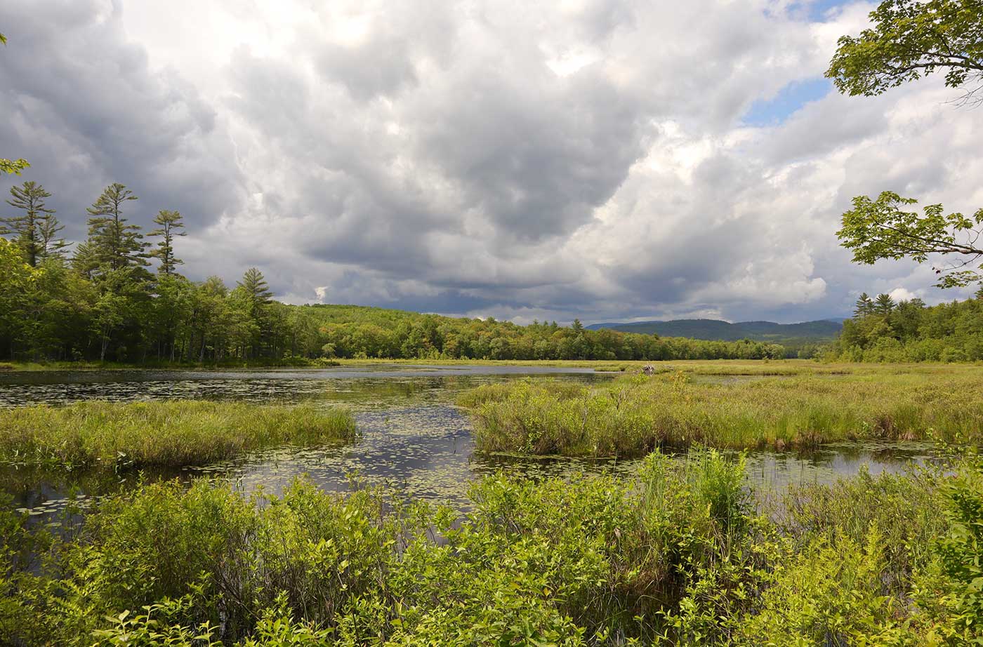 view of cloudy sky and brook/green landscape