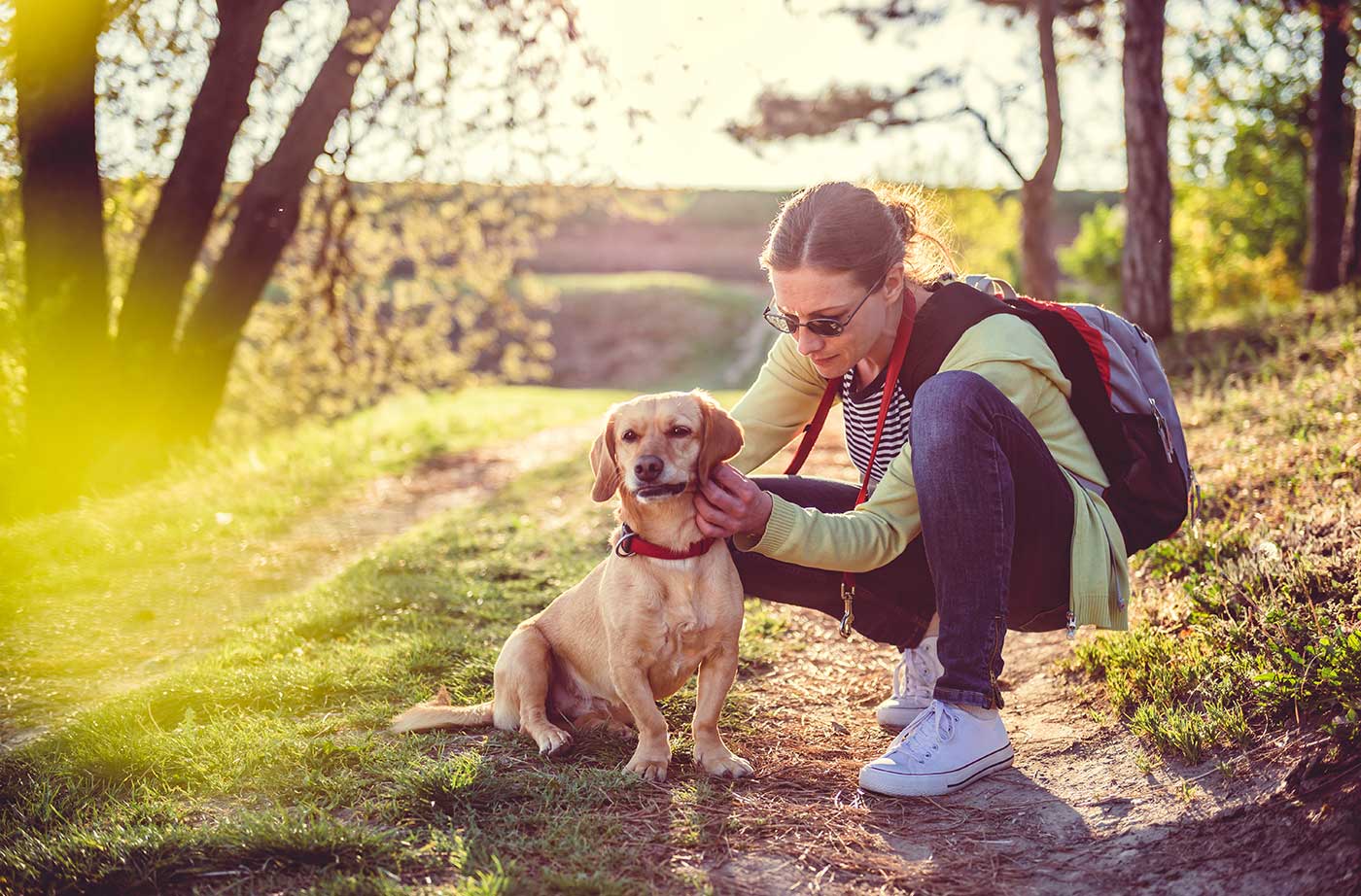 woman kneeling down checking dog for ticks