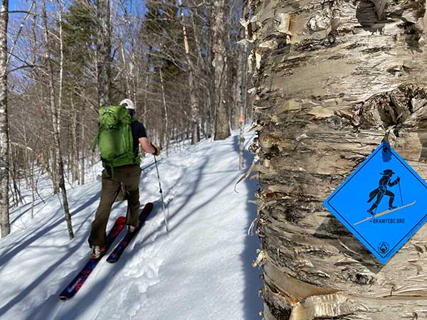 person skiing through trees