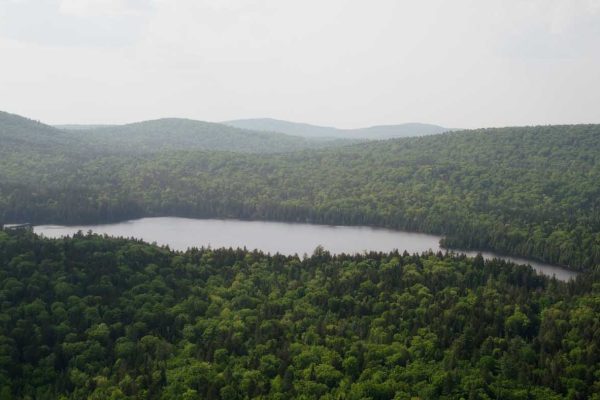 Big Reed Pond viewed from the air