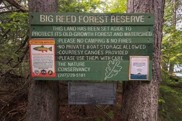 Big Reed Reserve sign