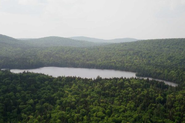 Big Reed Pond