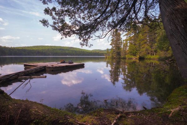 The dock at Big Reed Pond