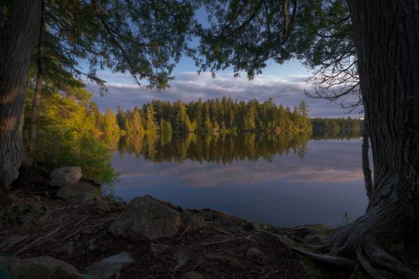 The shore of Big Reed Pond in afternoon light