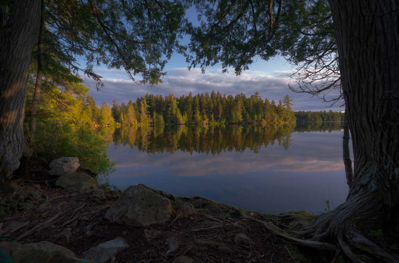 The shore of Big Reed Pond in afternoon light