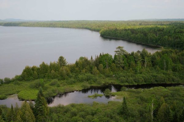 The shore of Munsungun Lake from the air