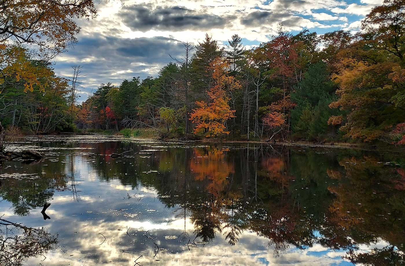 Pond surrounded by trees with fall foliage