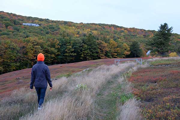 person wearing blaze orange knit hat walking through field
