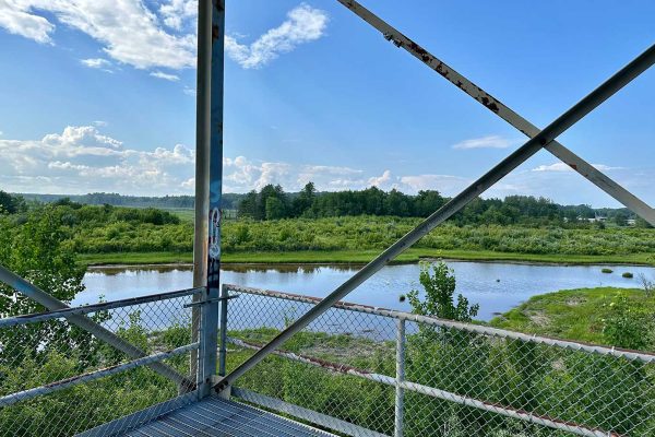 view from tower across marsh