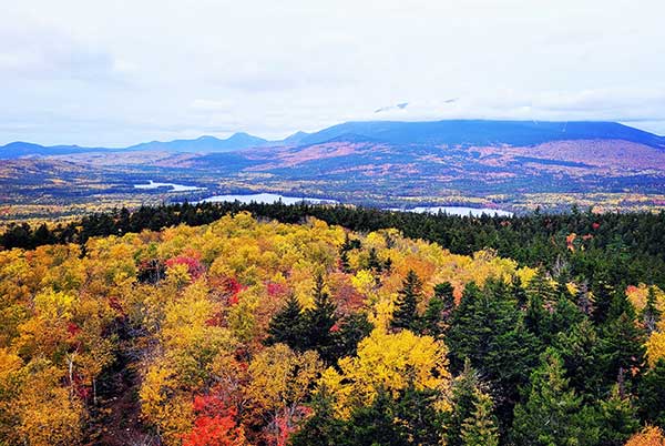 beautiful view of fall foliage from mountaintop